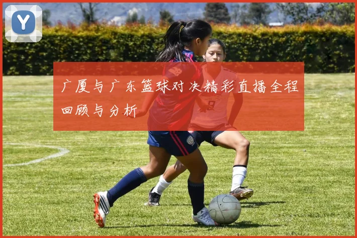 广厦与广东篮球对决精彩直播全程回顾与分析