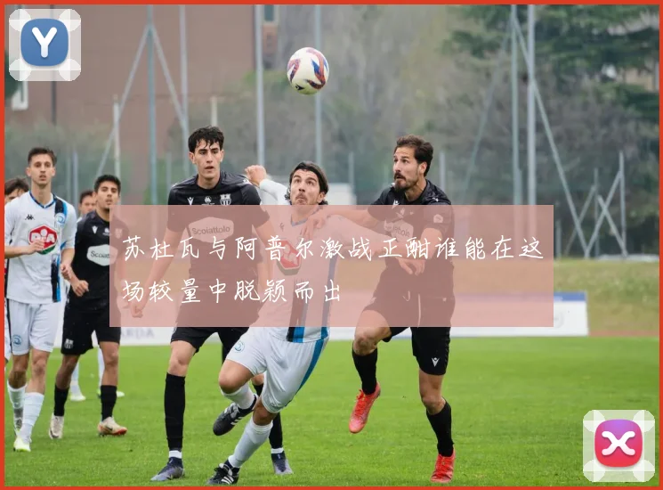 苏杜瓦与阿普尔激战正酣谁能在这场较量中脱颖而出