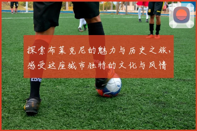 探索布莱克尼的魅力与历史之旅，感受这座城市独特的文化与风情