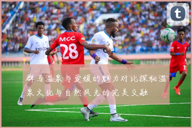 群马温泉与爱媛的魅力对比探秘温泉文化与自然风光的完美交融
