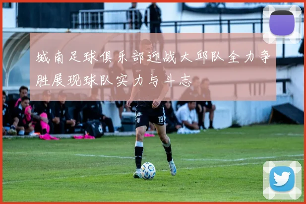 城南足球俱乐部迎战大邱队全力争胜展现球队实力与斗志